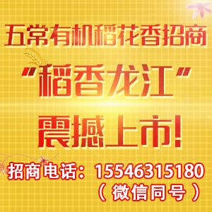 稻香龙江招商